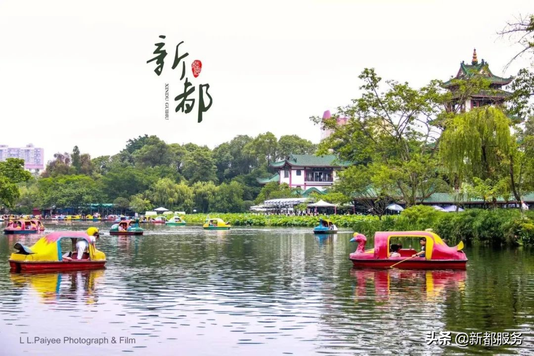 新都发展最好的地方,新都什么路练车比较合适