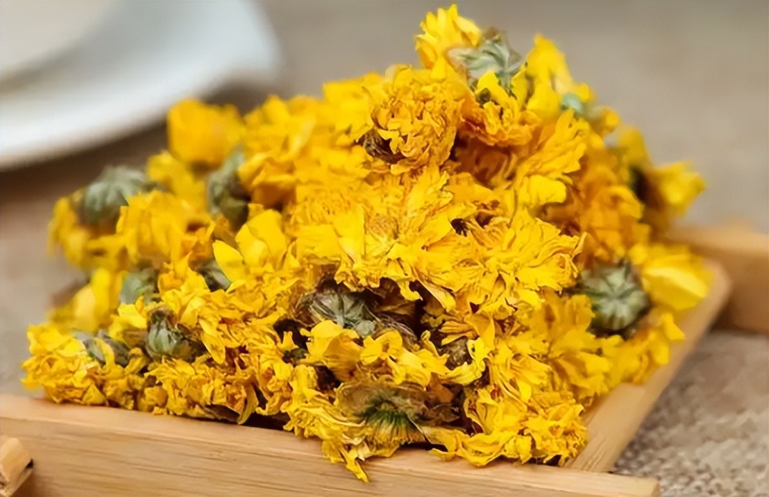 好喝的菊花茶推荐,爱喝茉莉菊花茶