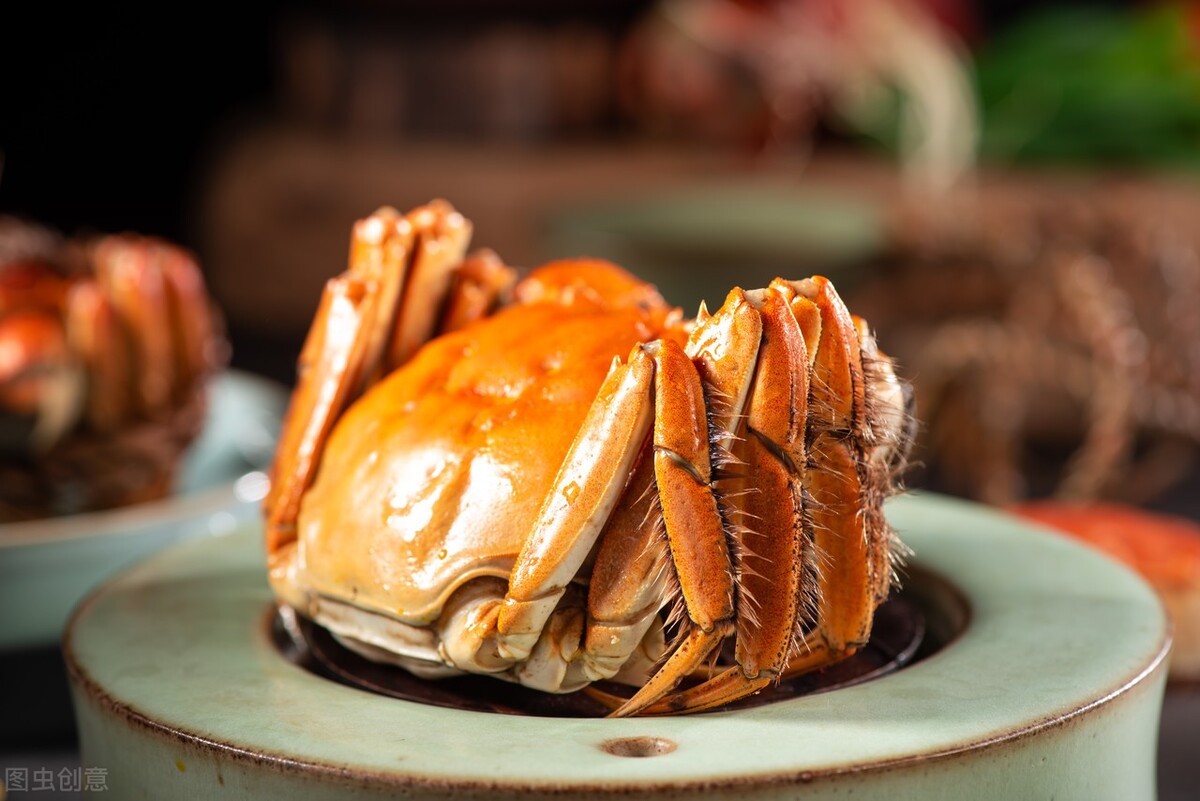 牙松了怎么办教你一招,牙松了怎样固牙