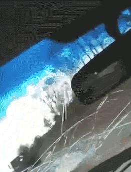 第一个用无人机拍到的鲸鱼,鲸鱼萤火虫