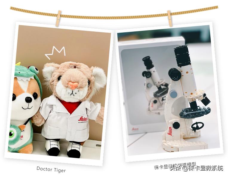 徕卡杯金相大赛技术含量高吗,全国大学生金相技能大赛模拟考试