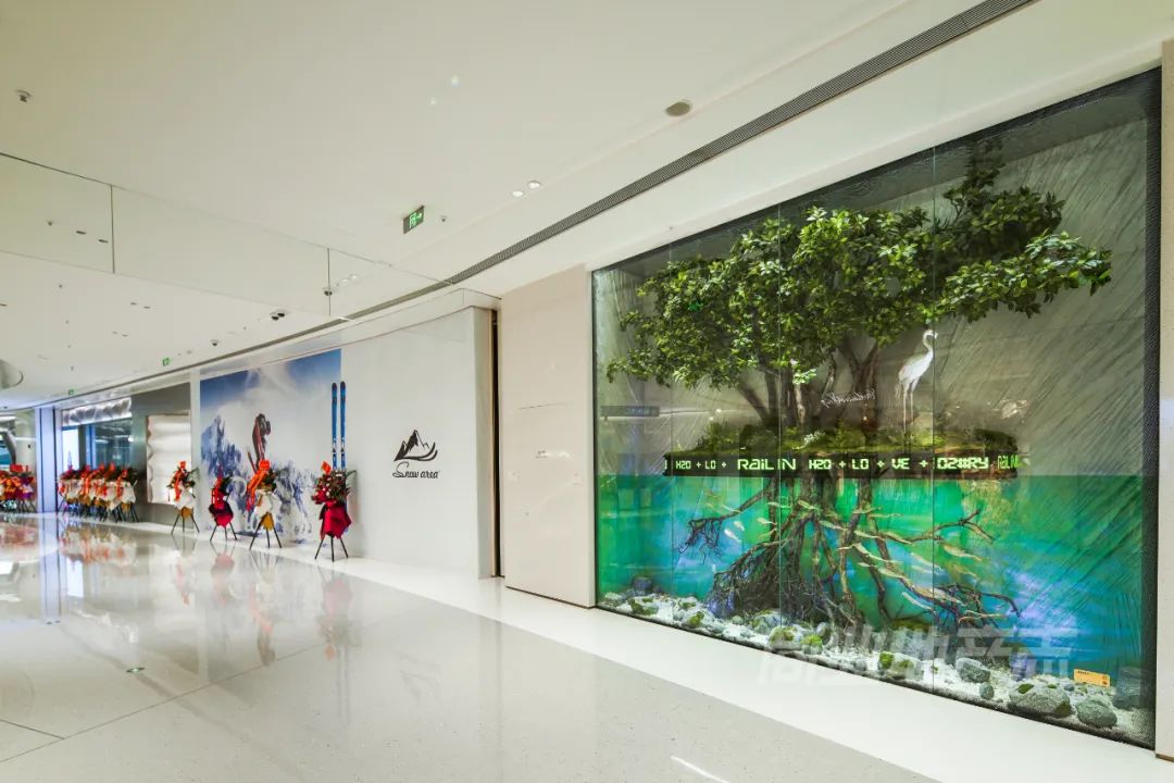 深圳湾睿印railin在哪里,深圳湾睿印railin店收费