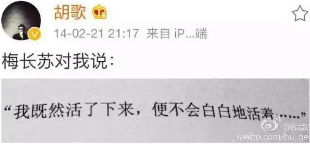 消失六年的他回来了,消失五年的他