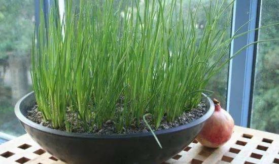 食物没有冰箱怎么保存长久,怎么才能让食物保存更久