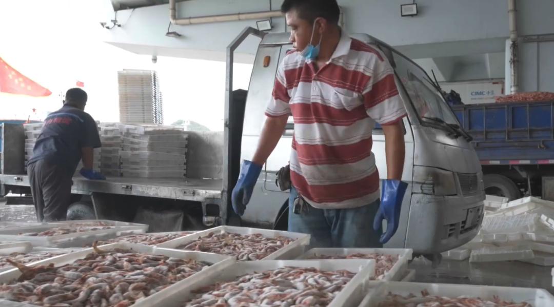 做海鲜直播一年能赚多少钱,返乡创业90后夫妻回家喂牛直播