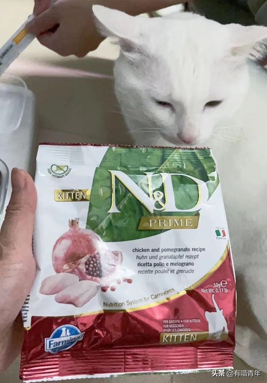 被央视曝光的猫粮,进口猫粮与国产猫粮能掺起来吃吗