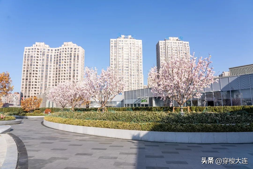 大连华南万象汇今日营业时间,大连最大的万象汇