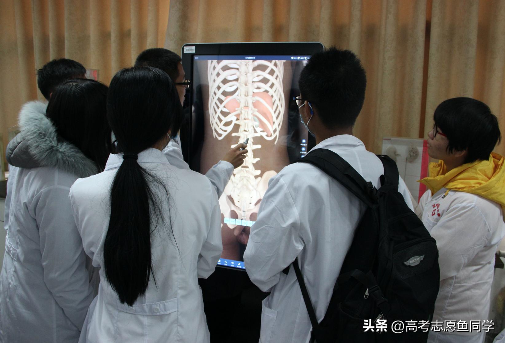 医学专业哪个专业前景好门槛低,医学类最值得报考的专业