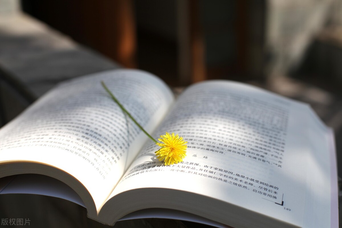 女生如何开口说话的技巧,女孩高情商说话技巧