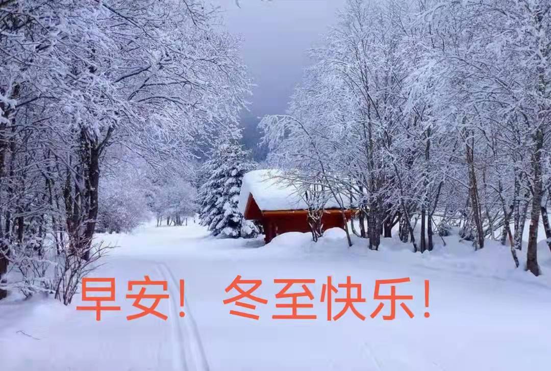 「战友美文」女作家张雪梅长篇小说《曾是女兵》（连载10）