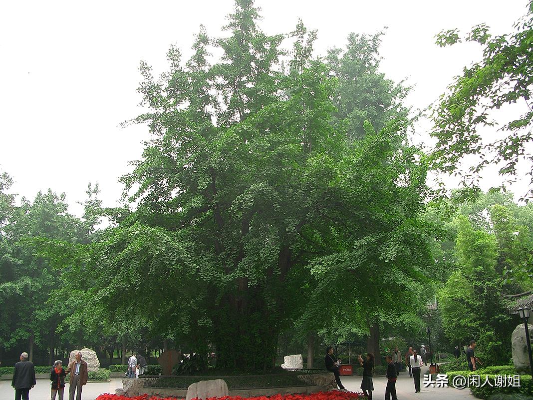 购物为什么叫买东西,什么叫买东西而不是叫买南北