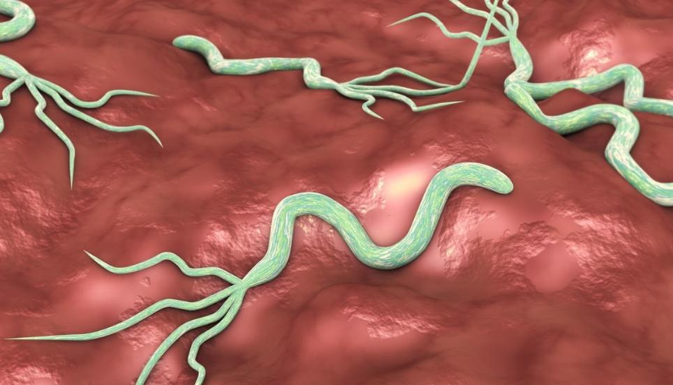 甲硝唑一瓶100片,甲硝唑一瓶100片和24粒哪个好