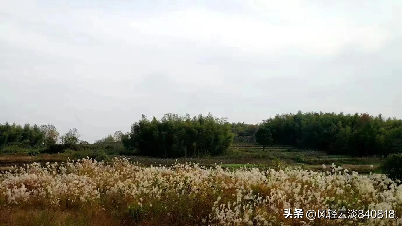 家谱文化传承的背景和意义,家谱作为历史文献的价值与局限