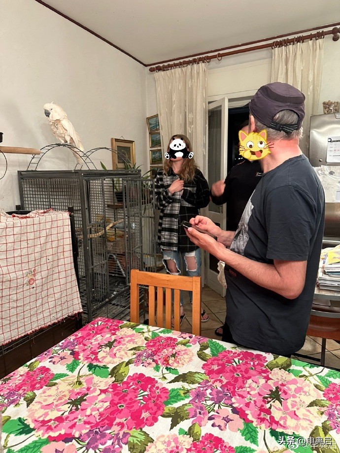 马修养家糊口,马修斯年薪收入