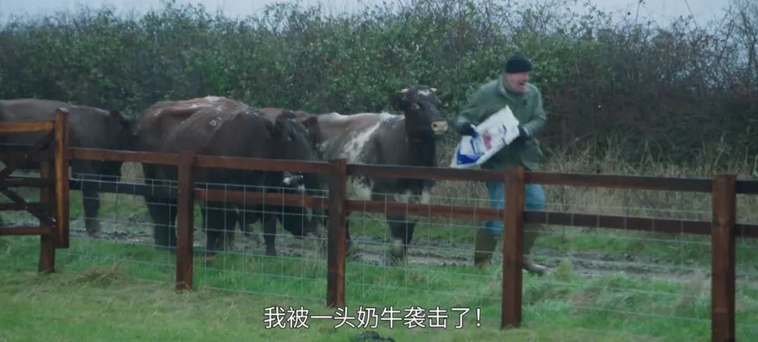 养猪养狗种田真人秀,真人秀十个男生种田