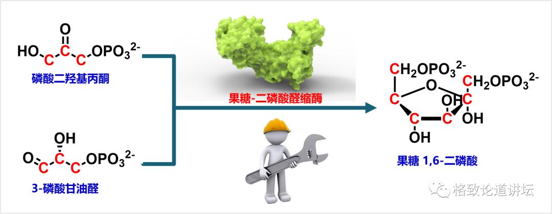 二氧化碳变成淀粉靠谱吗,用二氧化碳合成的淀粉怎样吃