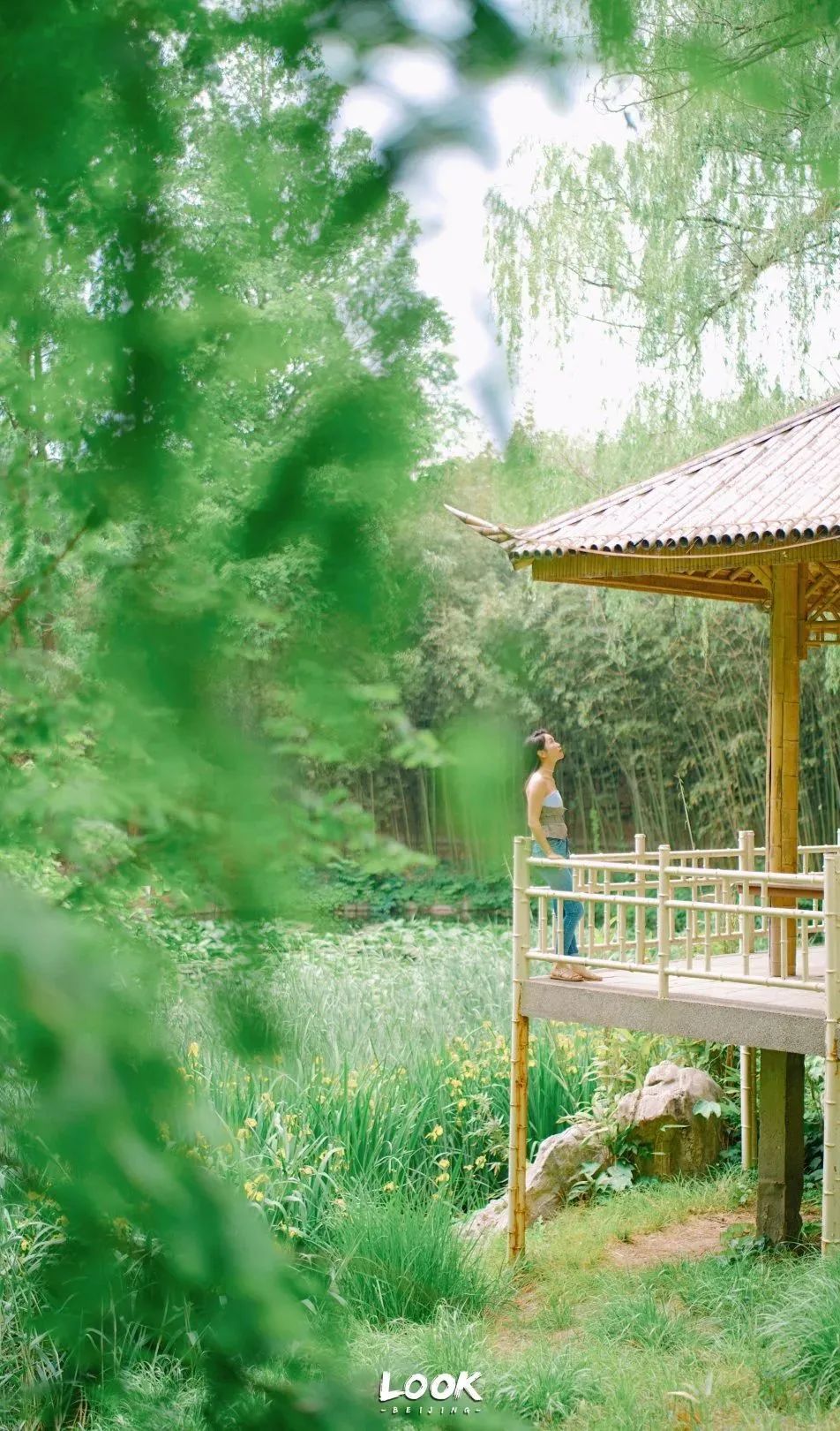 北京居庸关花海栈道,北京四季花海景区