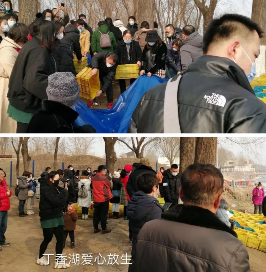 放生就是解困,人们口中说出的放生