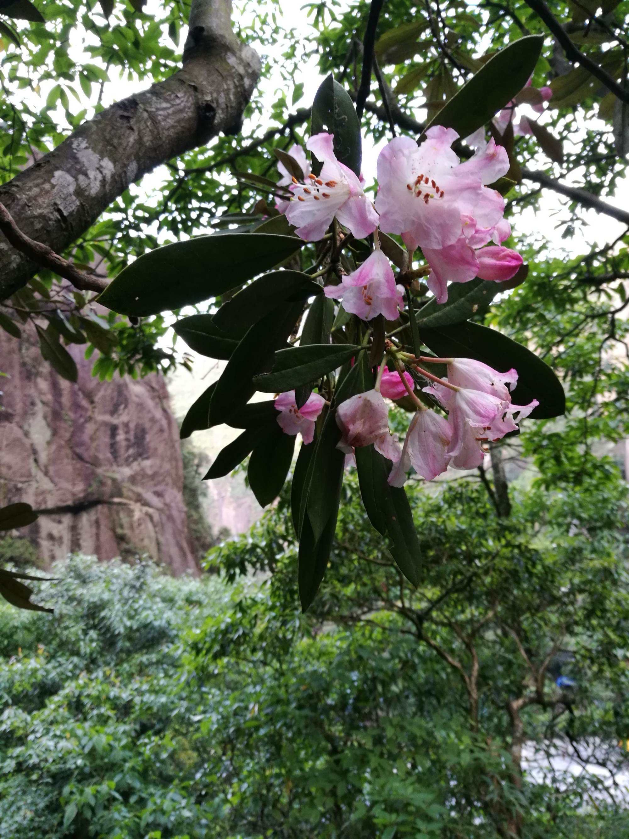 高高的紫云山,我们的青春故事曾在这里演绎