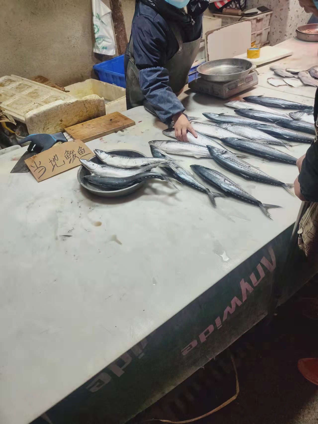 大连海岸现在钓什么鱼,大连熟食品批发市场有哪些好吃的