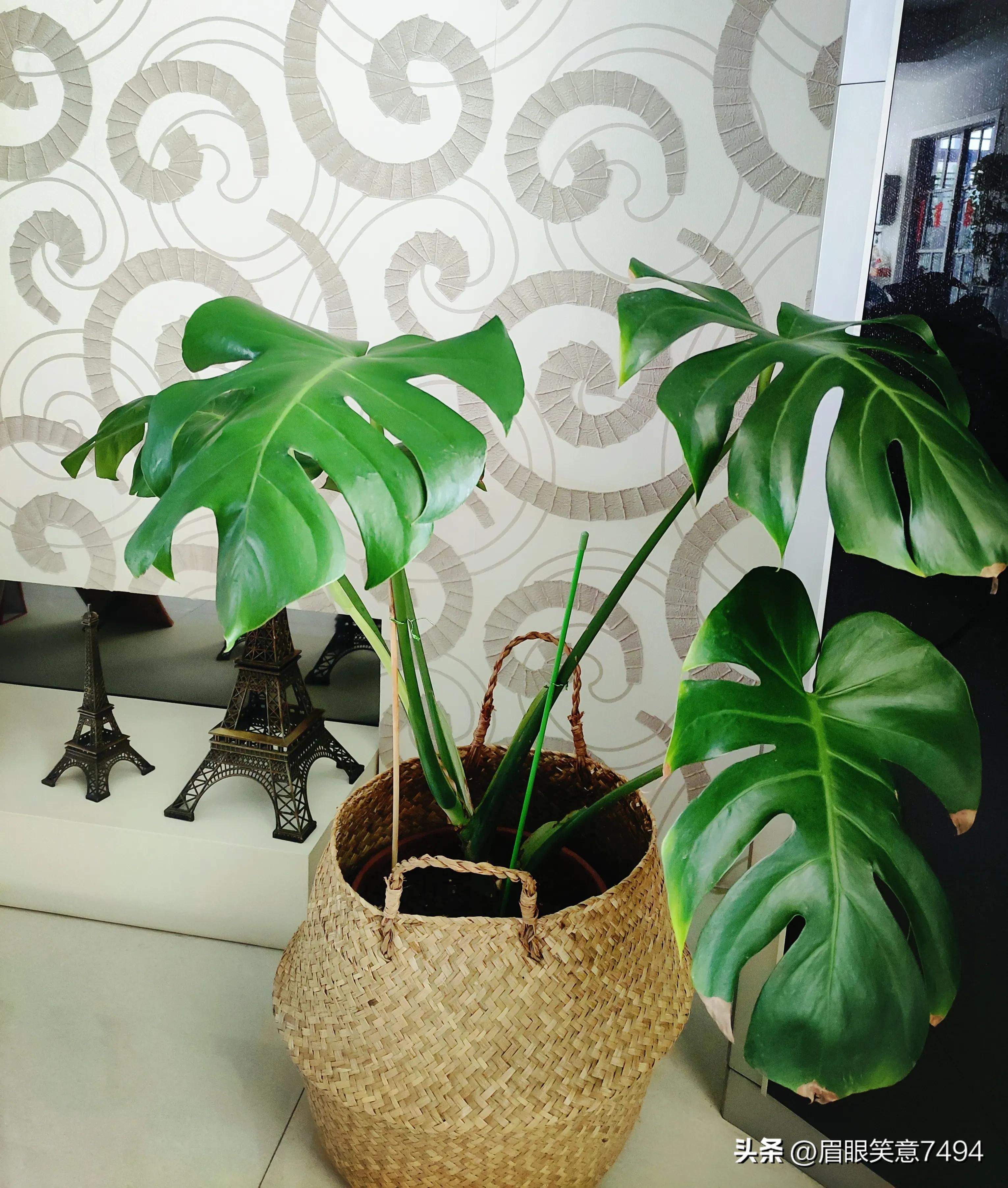 蓝色和绿色一定是上天选的治愈色,能治愈的蓝色和绿色