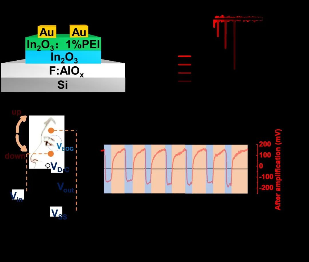 山东大学学术研究部,山东大学的学术成就
