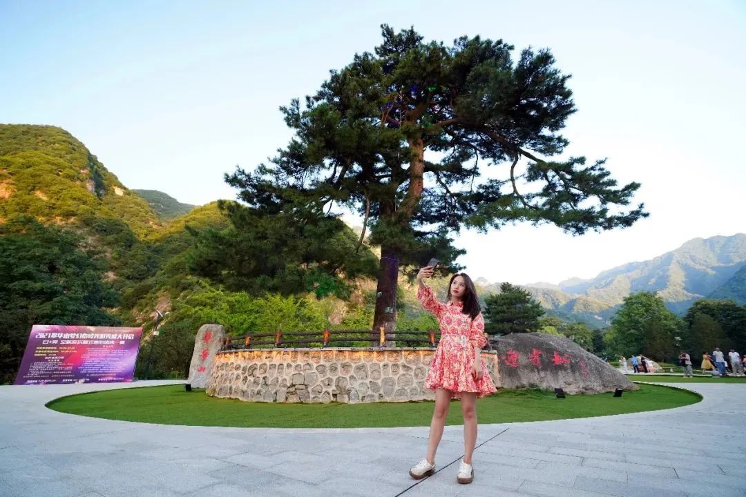 百年盛世看曲江,看曲江全景