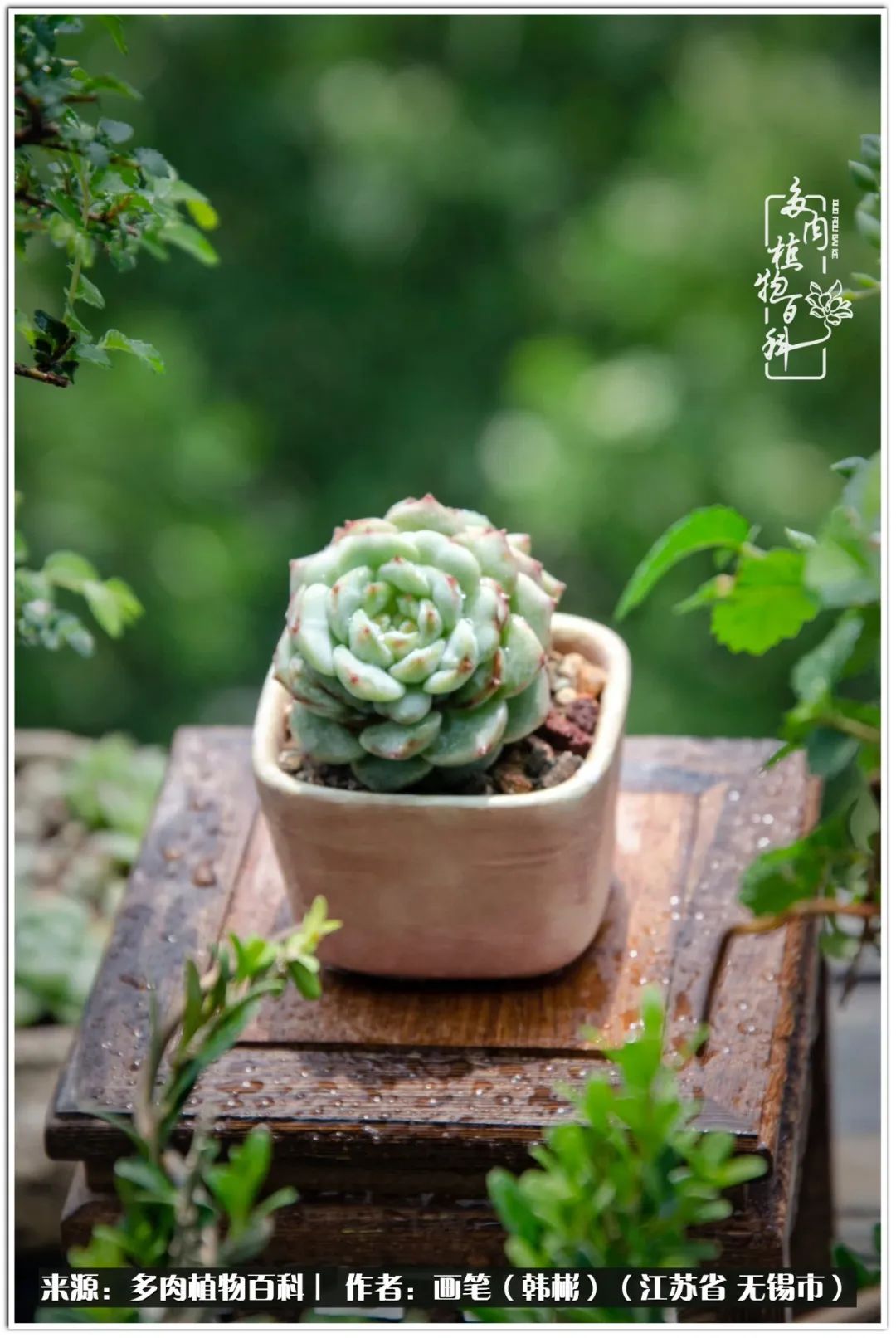 每个人的身旁都要有太阳,每个人都有一颗太阳