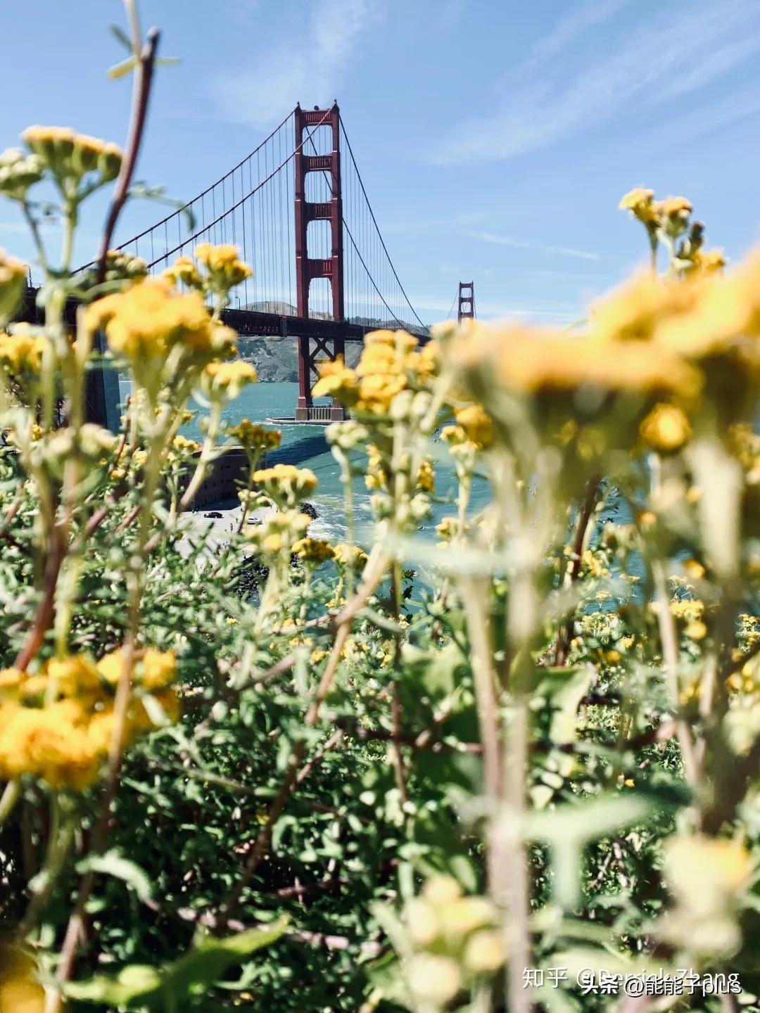 iphone12相机美颜怎么开,iphonex相机最佳设置