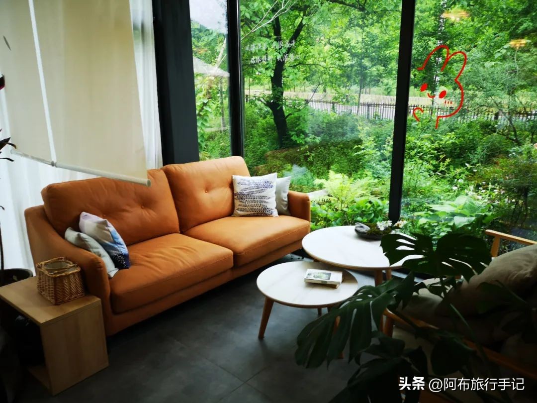 还没来得及去日本，却在秦岭来了趟值回东京票价的旅行