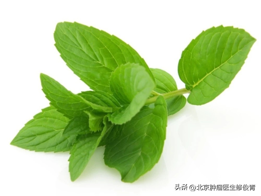 中医治疗肺经热鼻出血,治疗气血亏虚型鼻衄