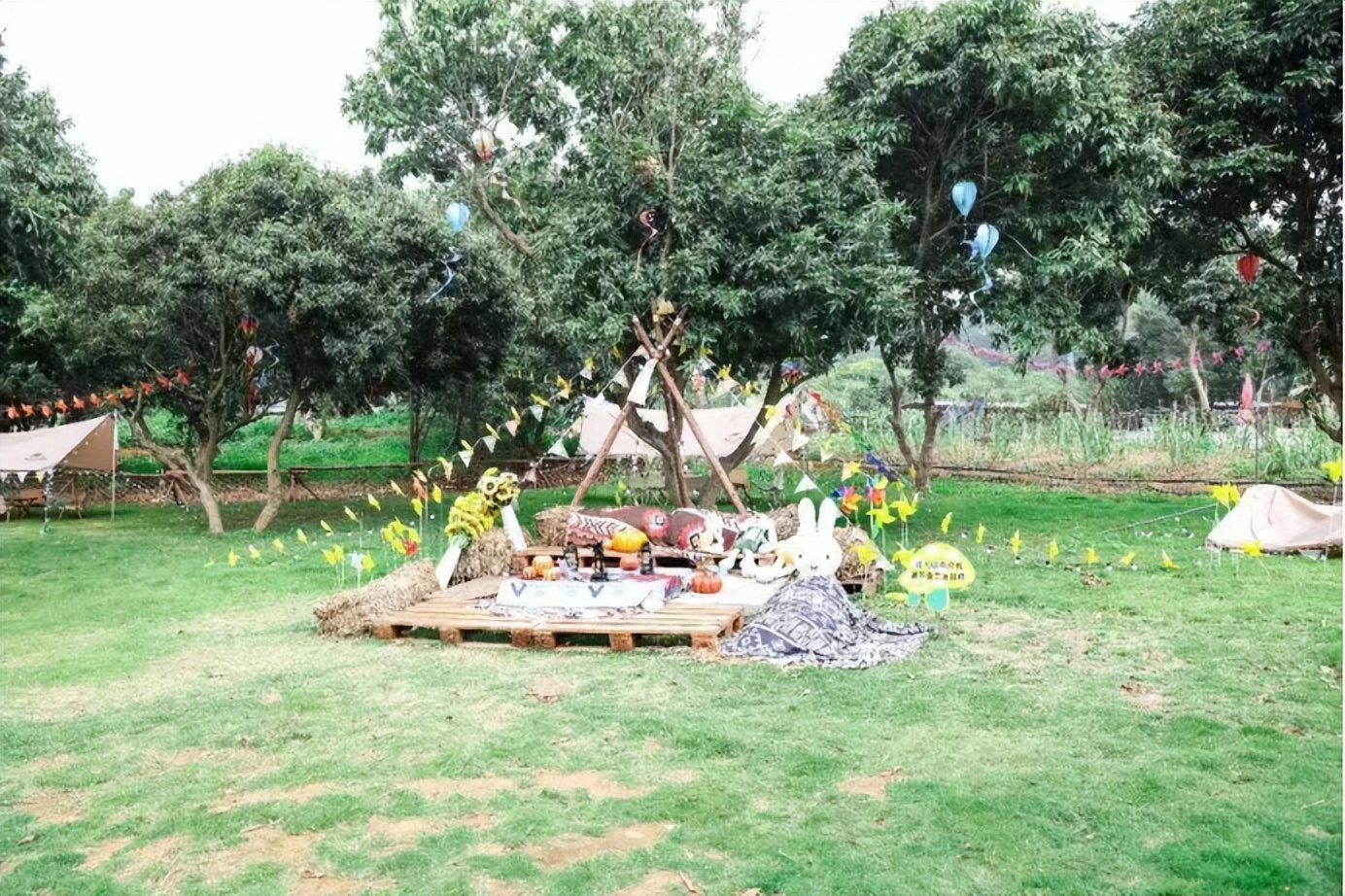 光明旅游攻略大全集,光明一日游必去的地方