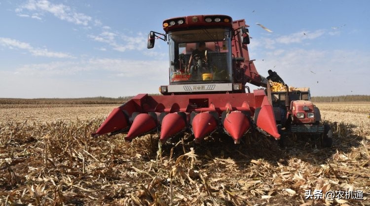 金兆月：勇猛玉米机质量可靠效率高，永远都值得信任