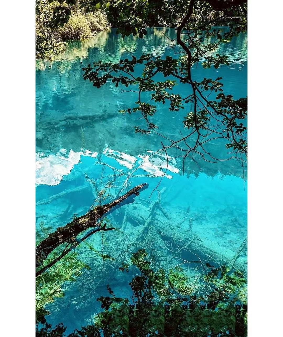 去四川旅游的真实感受,为什么去四川旅游最好