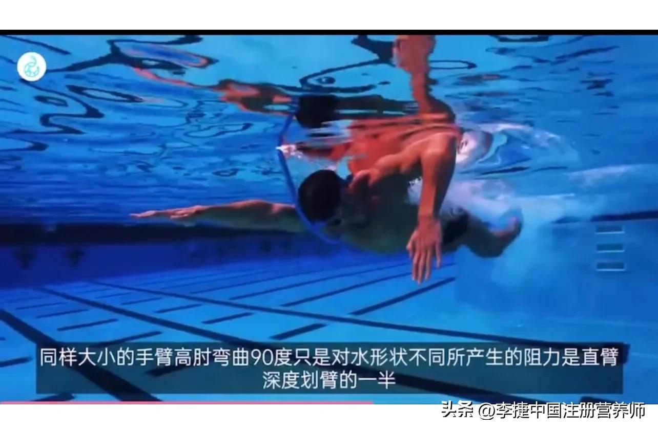 前游泳冠军谈自由泳技术,舒曼自由泳视频