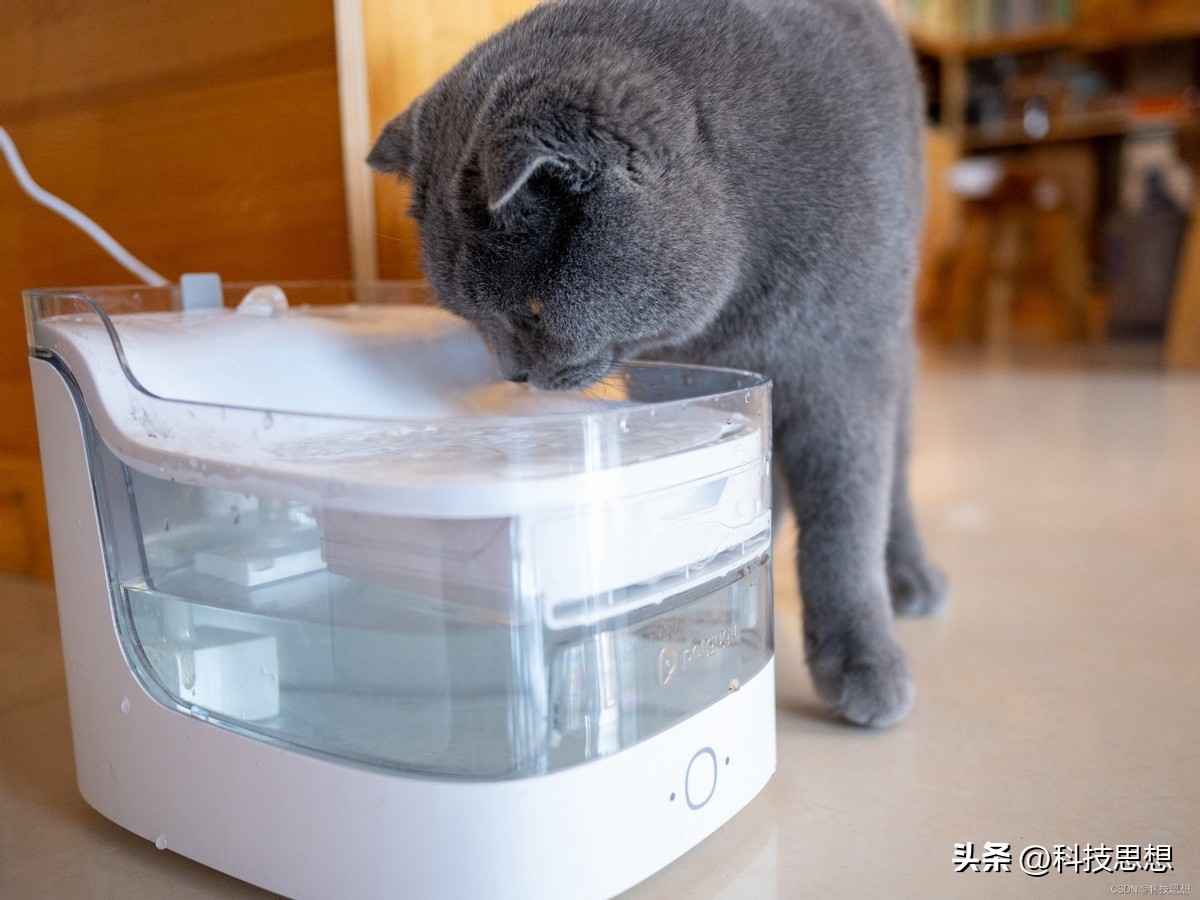 猫咪喝水神器智能不插电恒温,猫咪智能喂水器