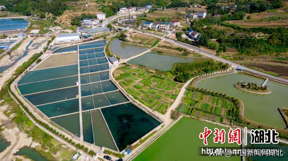 湖北十堰郧阳区美丽乡村房子照片,湖北十堰市郧阳区美丽乡村