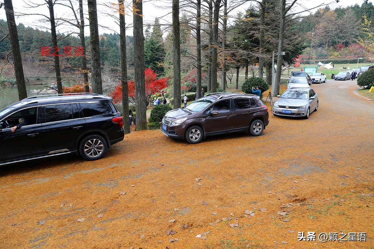 宁波黄金谷景区,宁波黄金谷