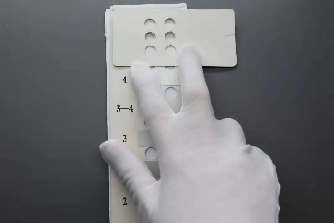 中筒袜时尚9.9,潮人中筒袜女士