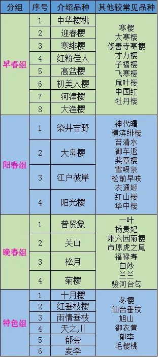 初春河津樱花图片大全,河津樱花品种大全