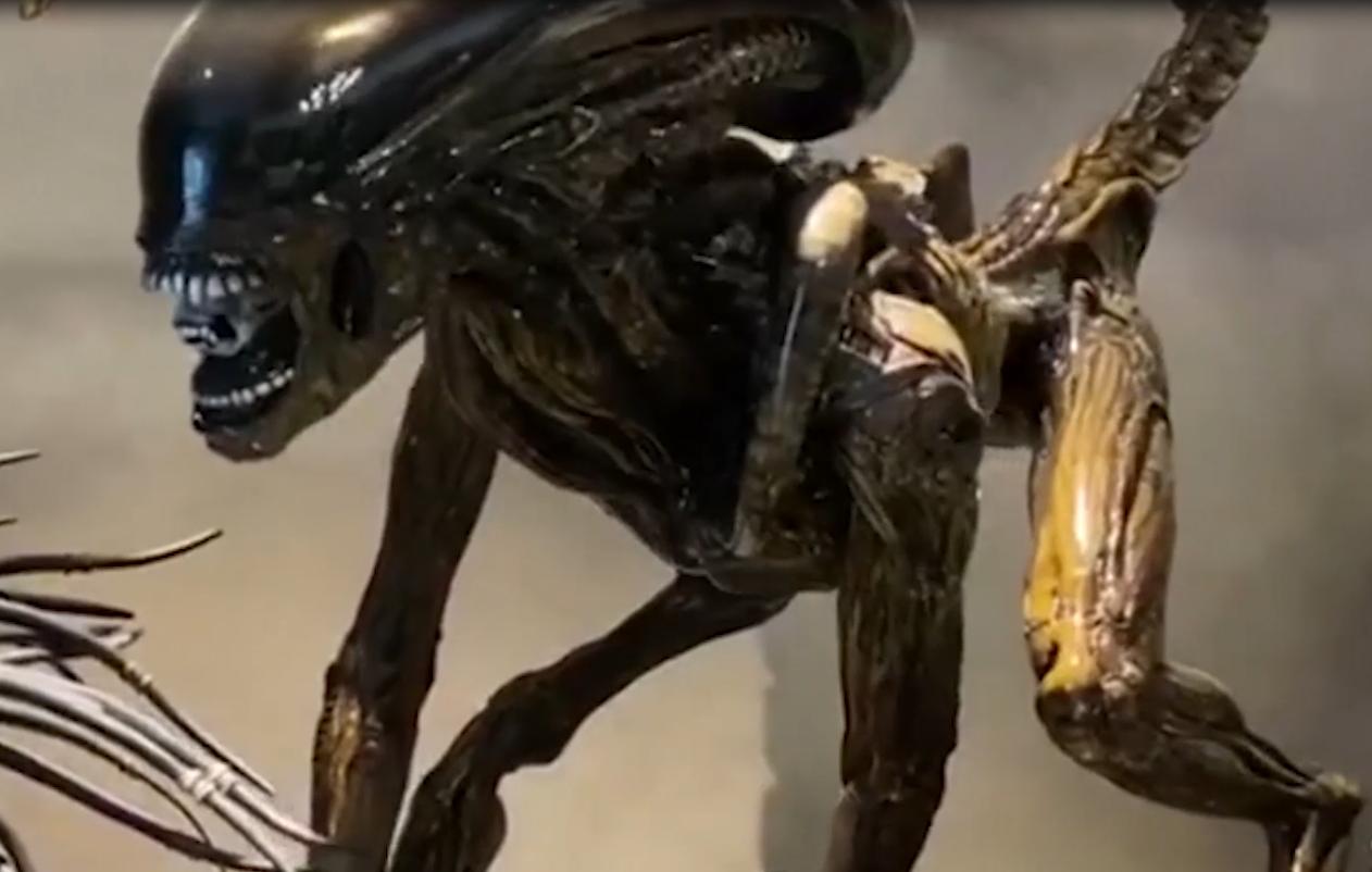 阳台哥买过多少手办,阳台哥500万买手办