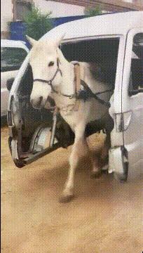 驾校的每一个点都有他存在的意义,驾校的一草一木都有它存在的意义