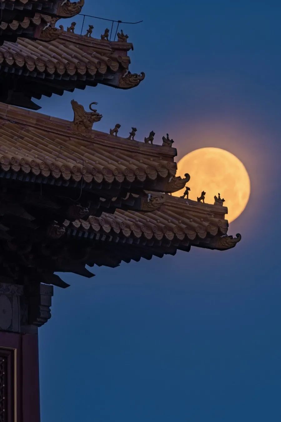 倾情荐读：时间的名字