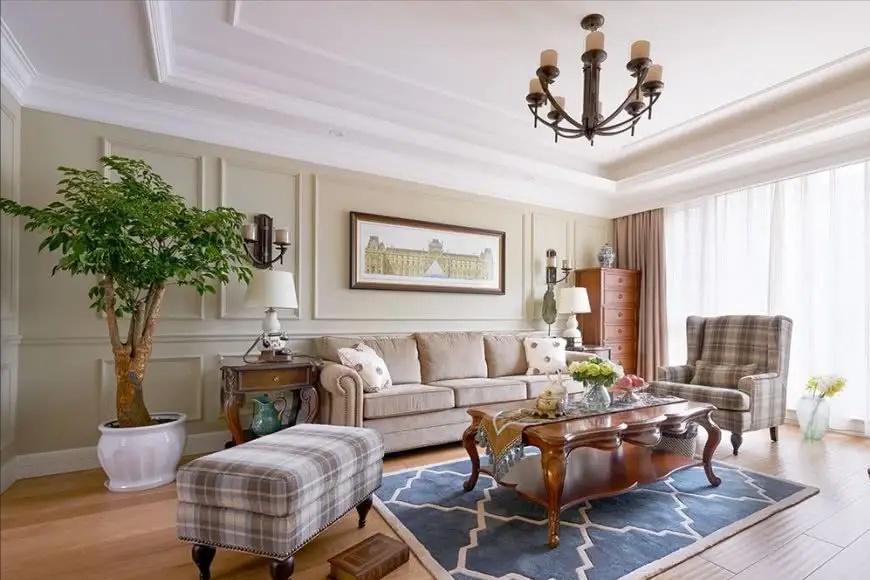 客厅大花盆栽树,100种家庭客厅盆栽树