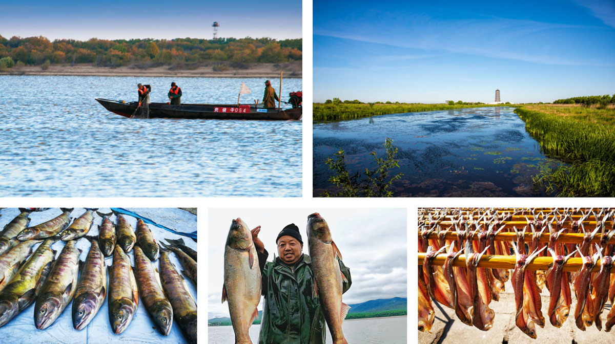 重庆野山珍商贸有限公司,重庆野山珍商贸