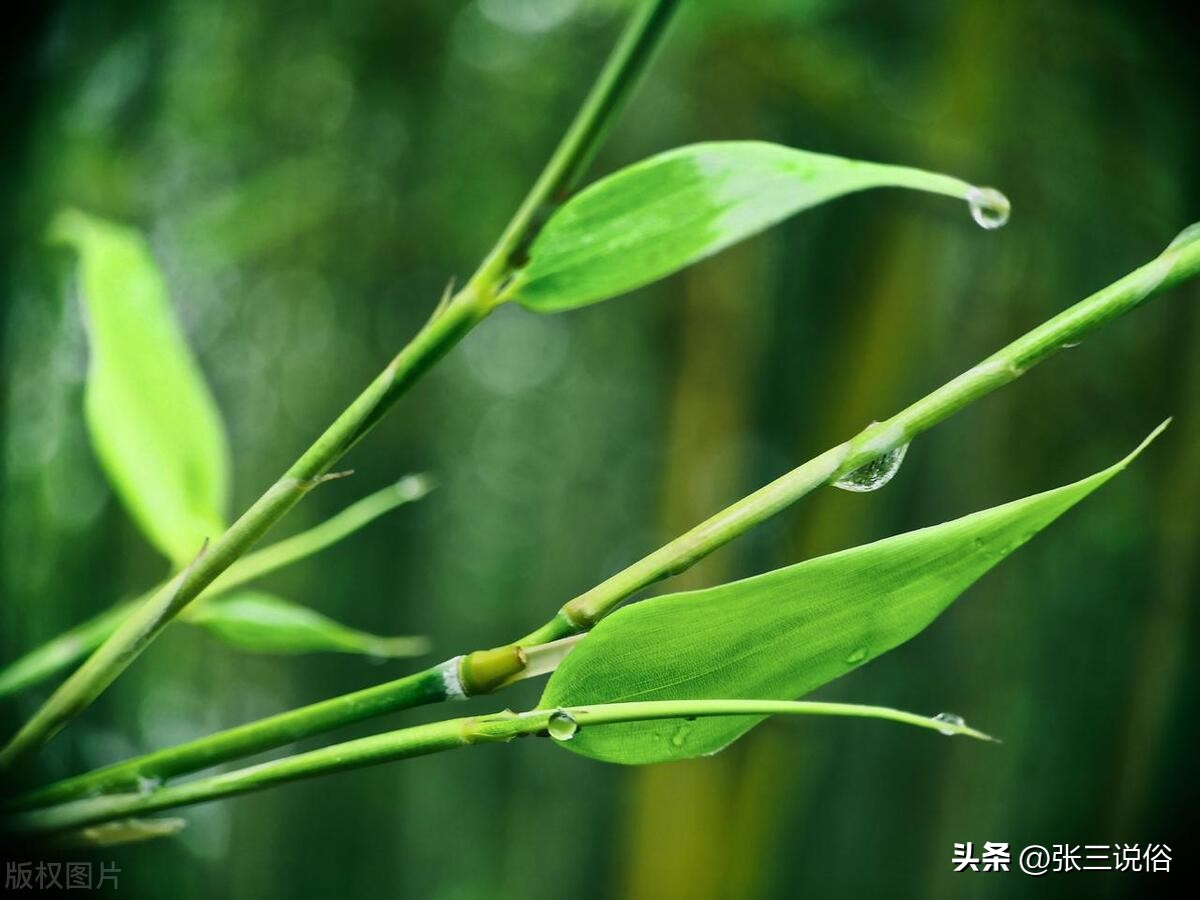 五月十五大端午，记得“端午藏正午，即望莫远游”：有啥说法？