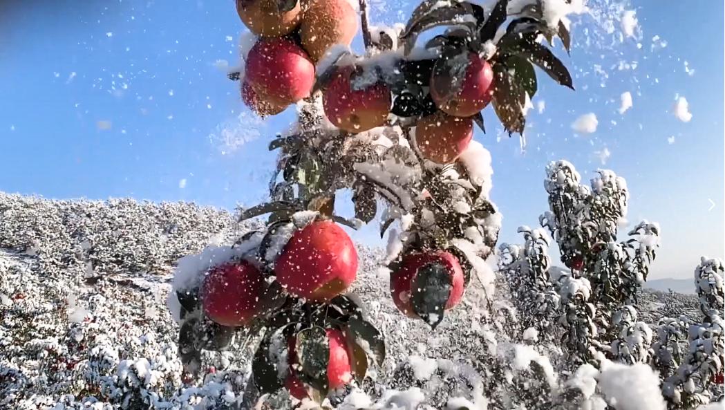 相见恨晚这首歌完整版,原汁原味古色古香的一座小城
