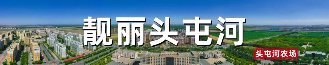 高质量推进农业增效,头屯河区高质量发展