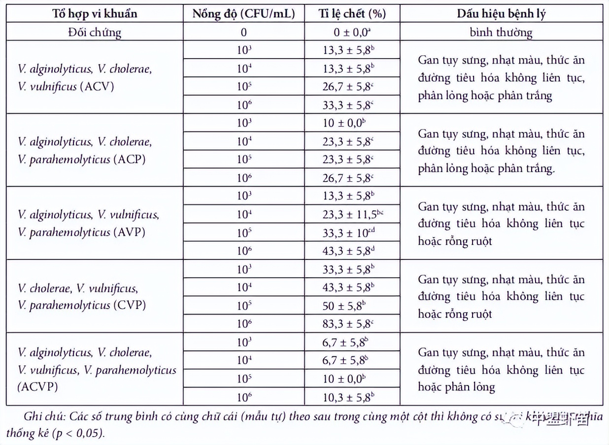 这种虾病，对虾产业产生深远影响！养殖大神揭露该病的今生前世！