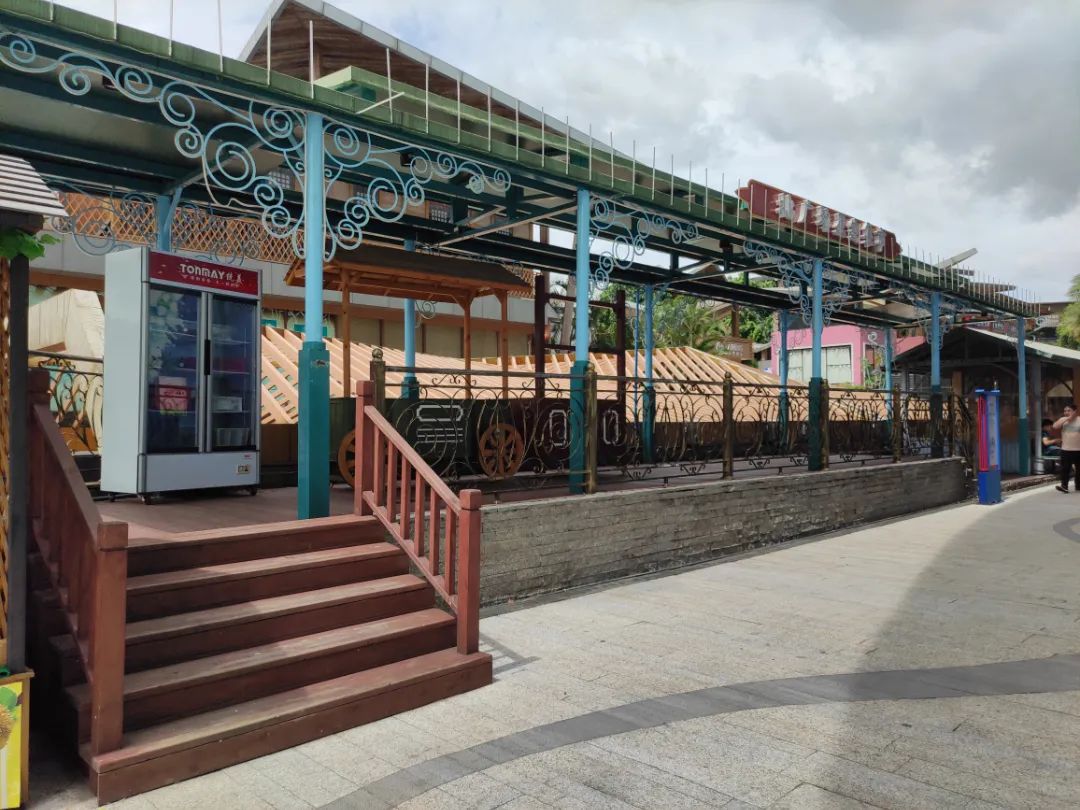 她只想回归自然，开花店却一年净利润50多万元——南宁小姐姐将理想照进了现实